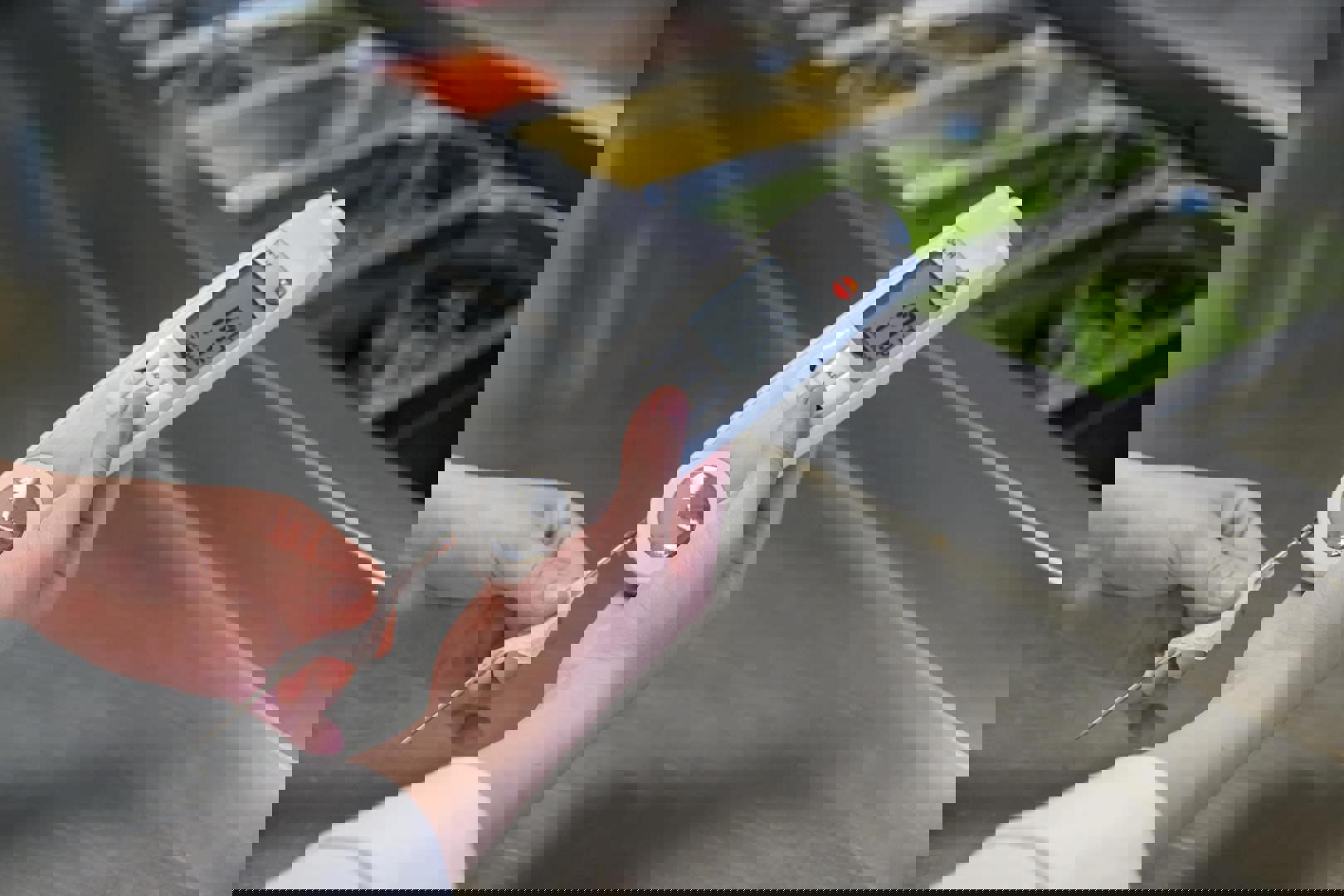 20240820 Eurofins 0077 007 Min[1]