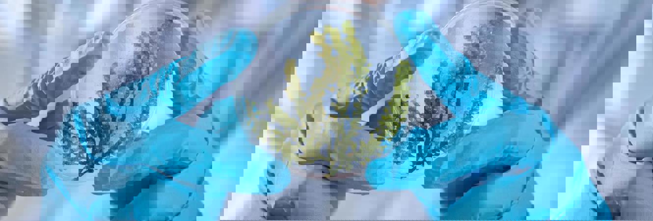 Pexels Chokniti Khongchum 1197604 2280568